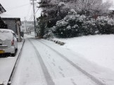 雪